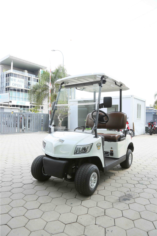 ESEV Electronic Solar Power Buggy.